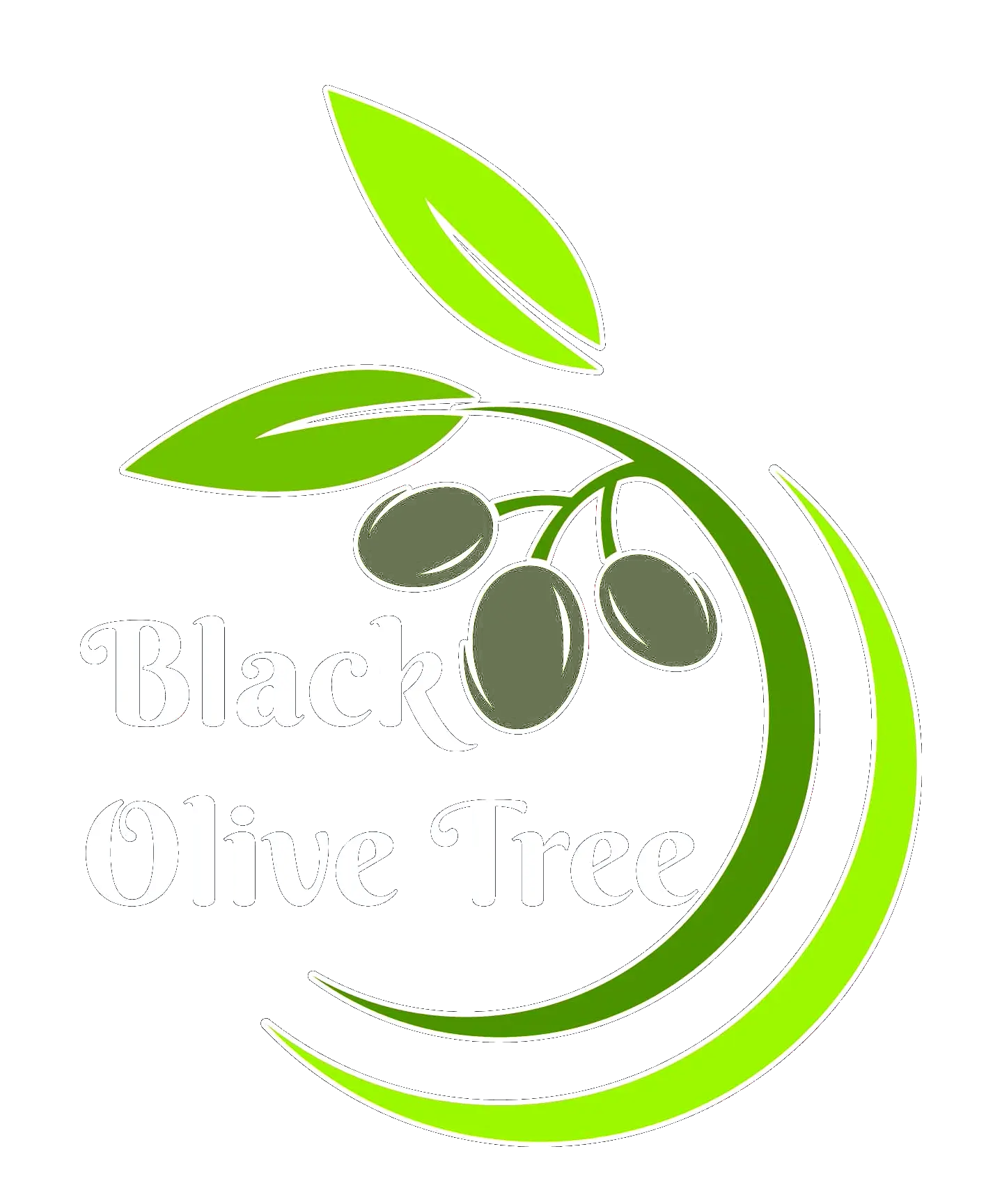 Black Olive Tree